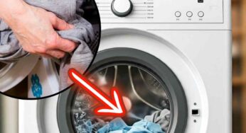 Aggiungere vestiti dimenticati in lavatrice? Scopri quando puoi farlo (e quando No)!